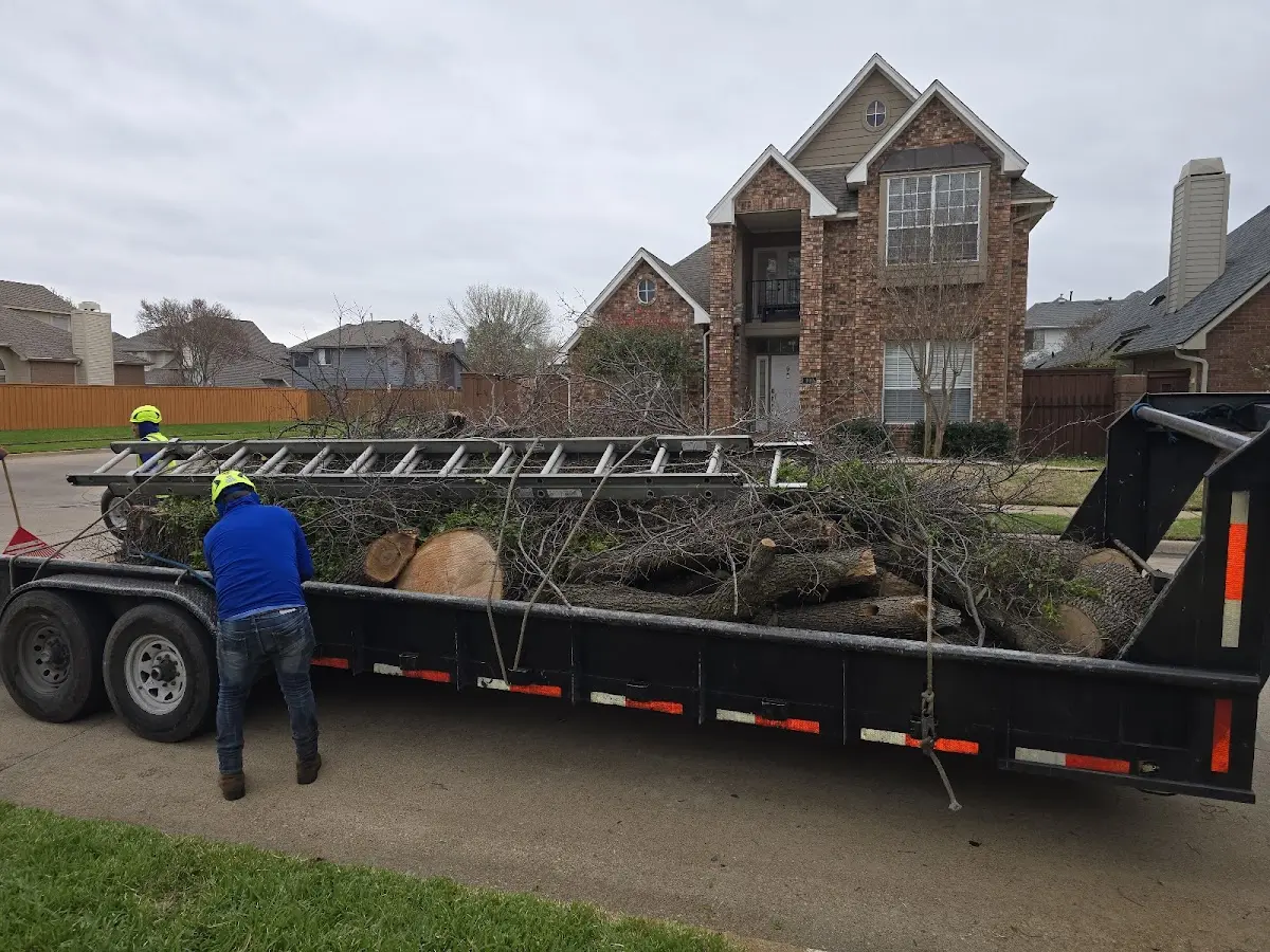 Expert Tree Fertilization with proper safety equipment in Coupon